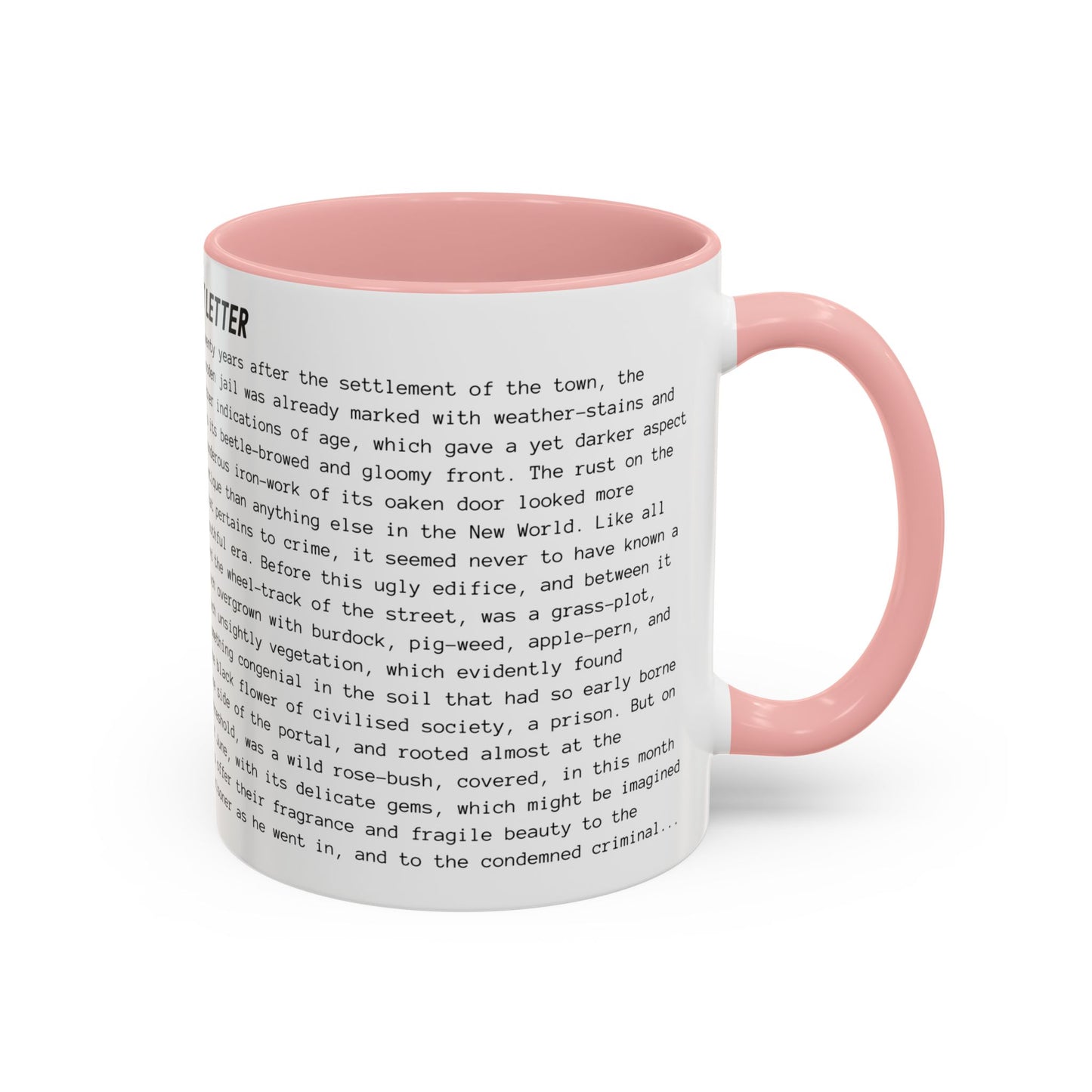 Fiction Coffee Mugs | The Scarlet Letter Mug | Classic Opening Passage | Book Lover Gift