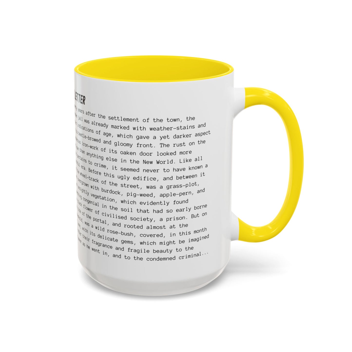 Fiction Coffee Mugs | The Scarlet Letter Mug | Classic Opening Passage | Book Lover Gift