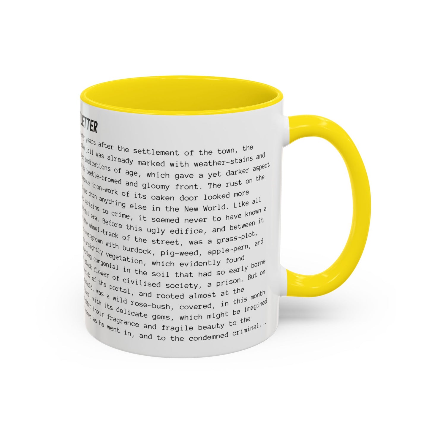 Fiction Coffee Mugs | The Scarlet Letter Mug | Classic Opening Passage | Book Lover Gift